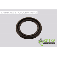Семеринг 38х58х10